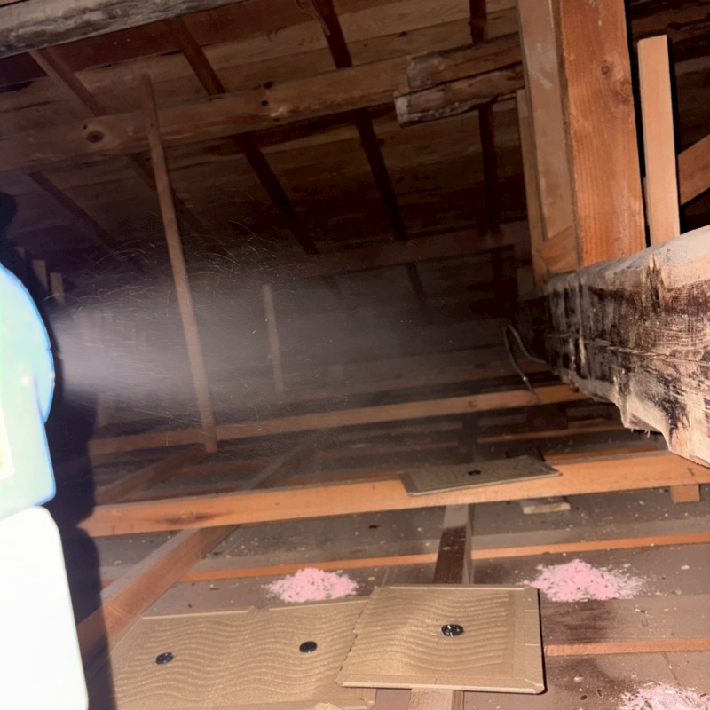 天井裏を噴霧器で除菌・消臭
