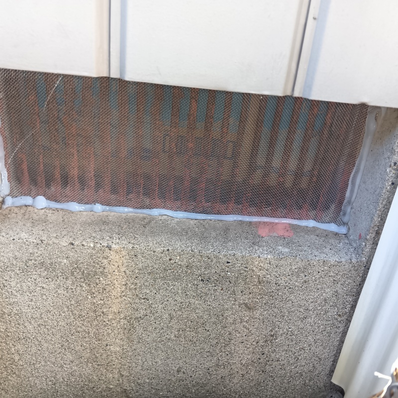 金網で侵入経路を封鎖