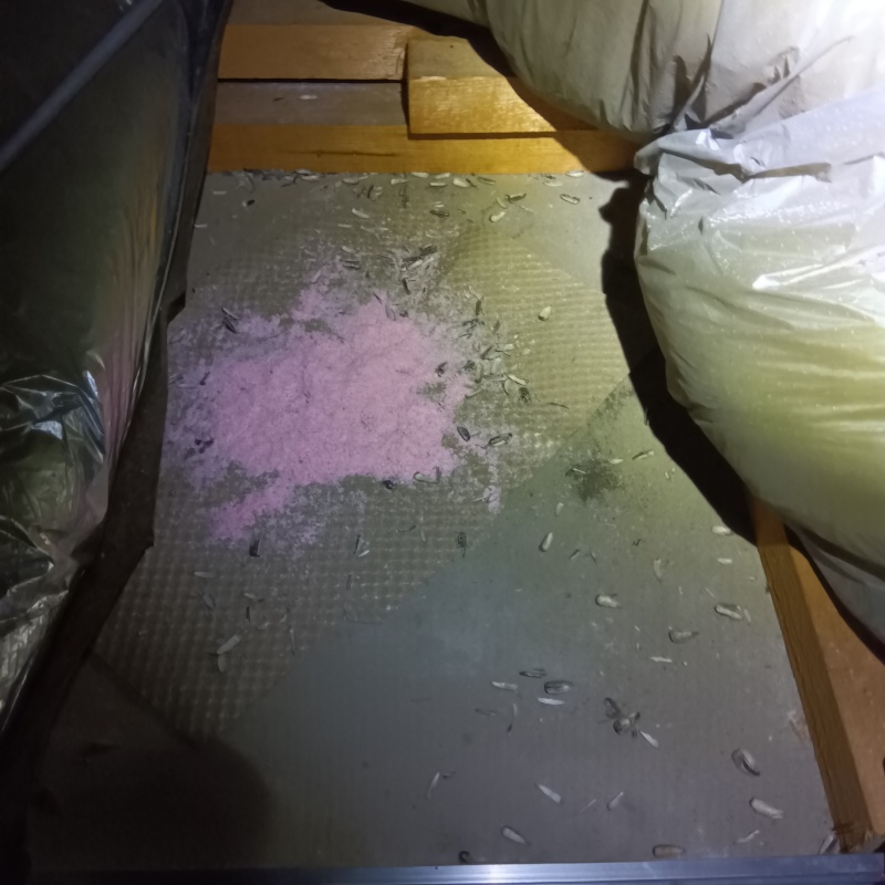 食べられた殺鼠剤のあと