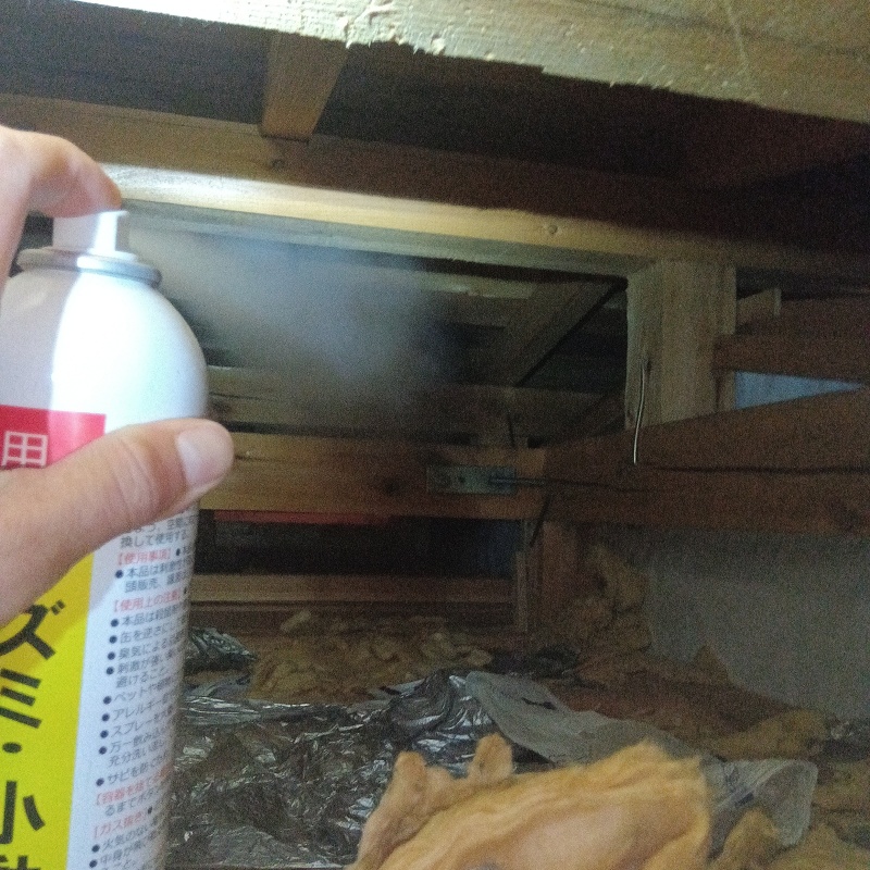 屋根裏に忌避剤をスプレー