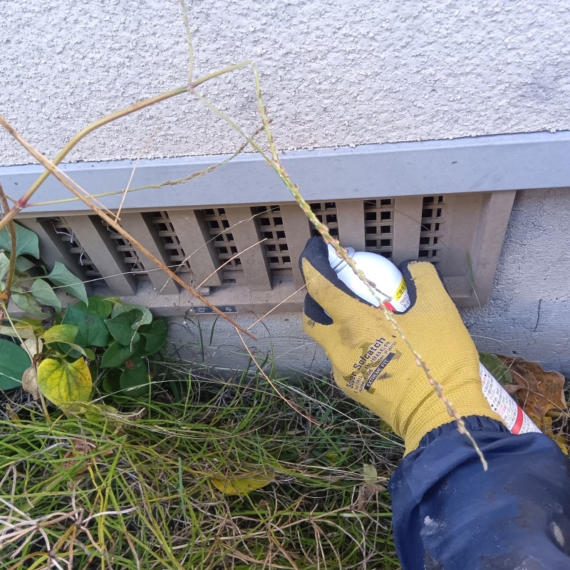 床下換気口から忌避剤をスプレー