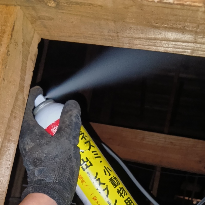 屋根裏に忌避剤をスプレー