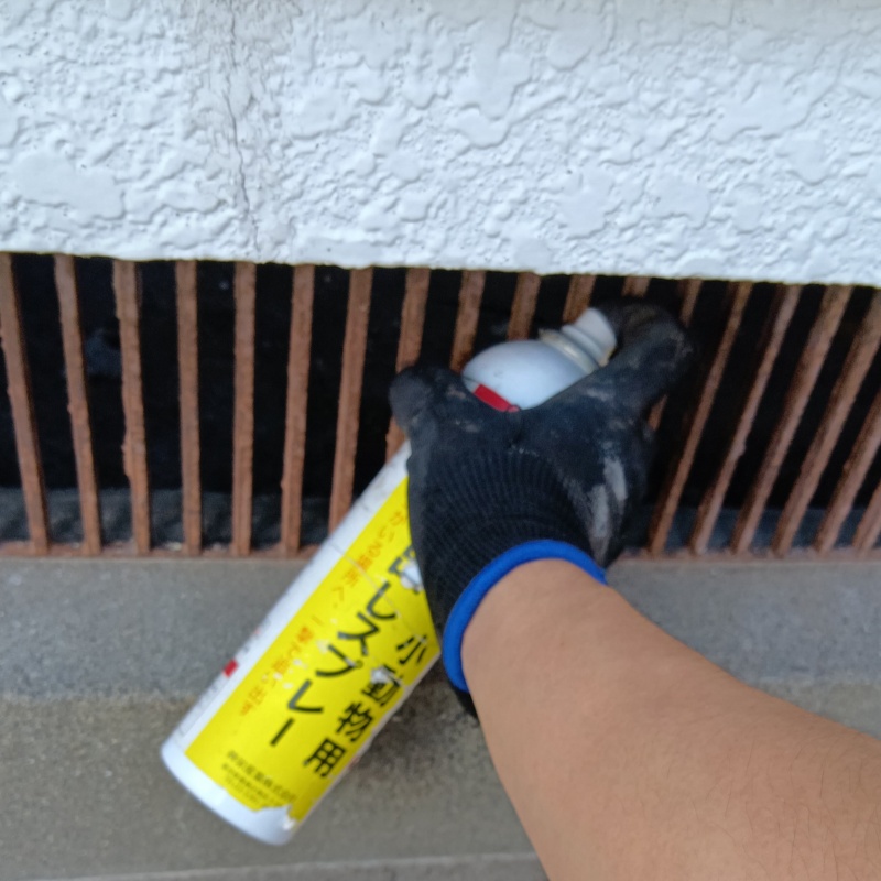 床下換気口から忌避剤をスプレー