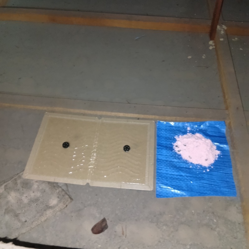 殺鼠剤を仕掛けている様子
