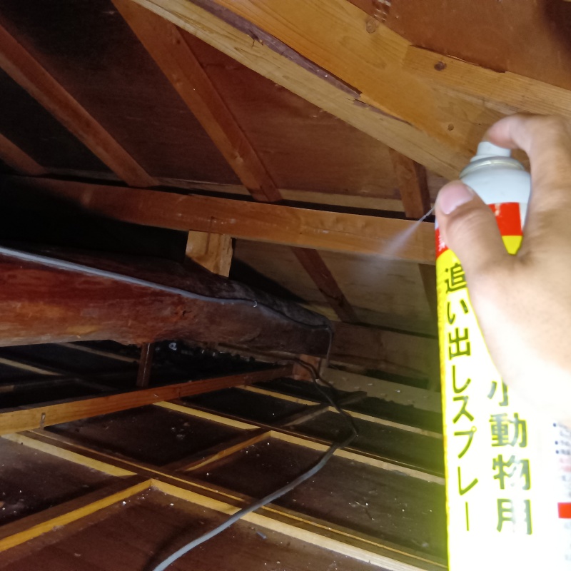 天井裏に忌避剤をスプレー