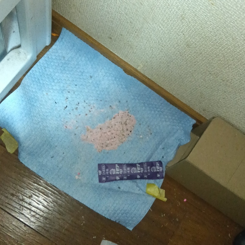 ネズミが殺鼠剤を食べたあと