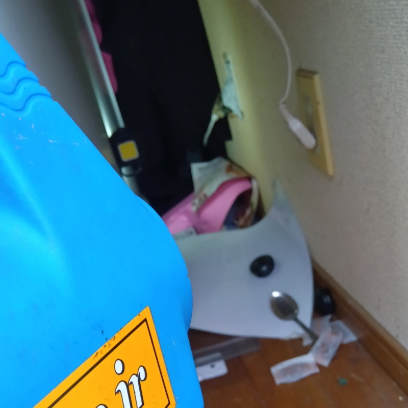 噴霧器で除菌剤を散布