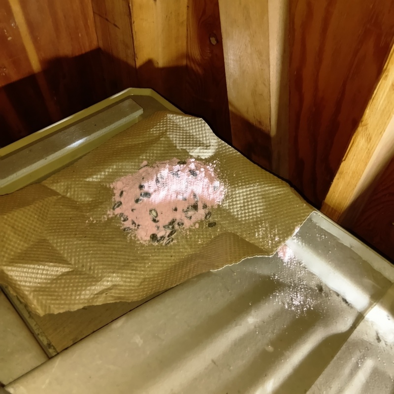 天井裏に殺鼠剤を設置