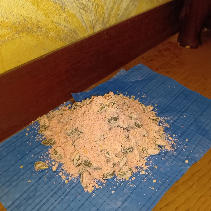 殺鼠剤を仕掛けている様子