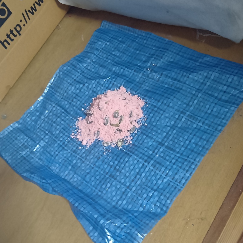 殺鼠剤を仕掛けている様子