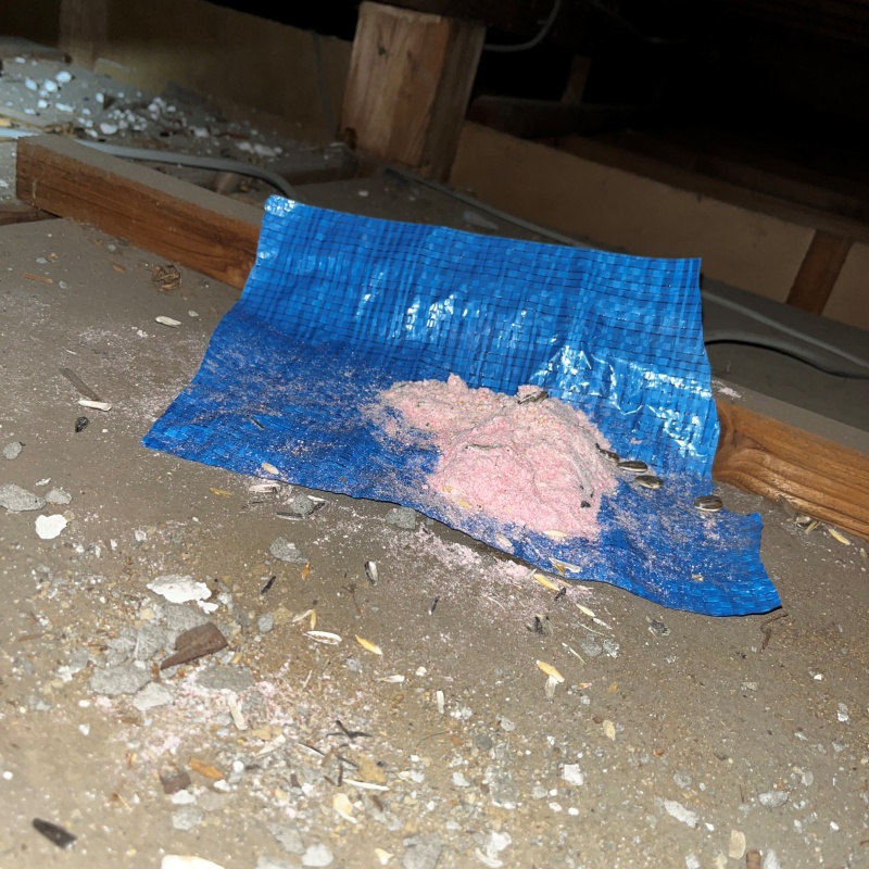 ネズミが殺鼠剤を食べたあと
