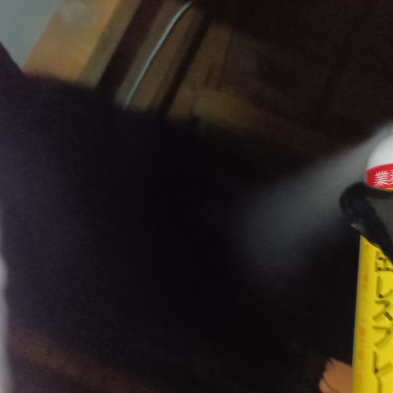 屋根裏に忌避剤をスプレー