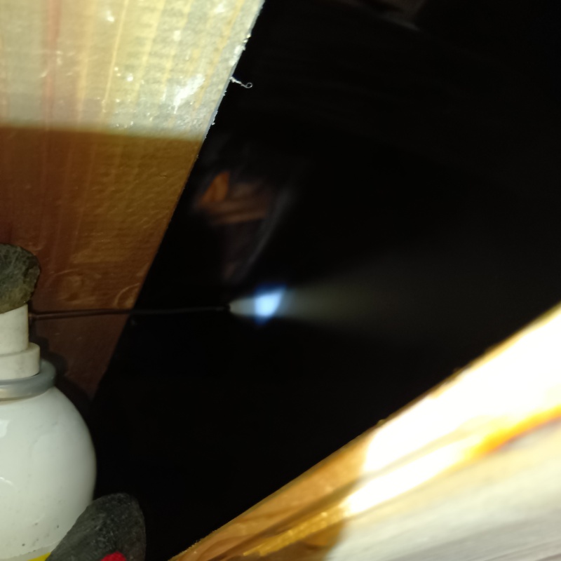 忌避剤をスプレー