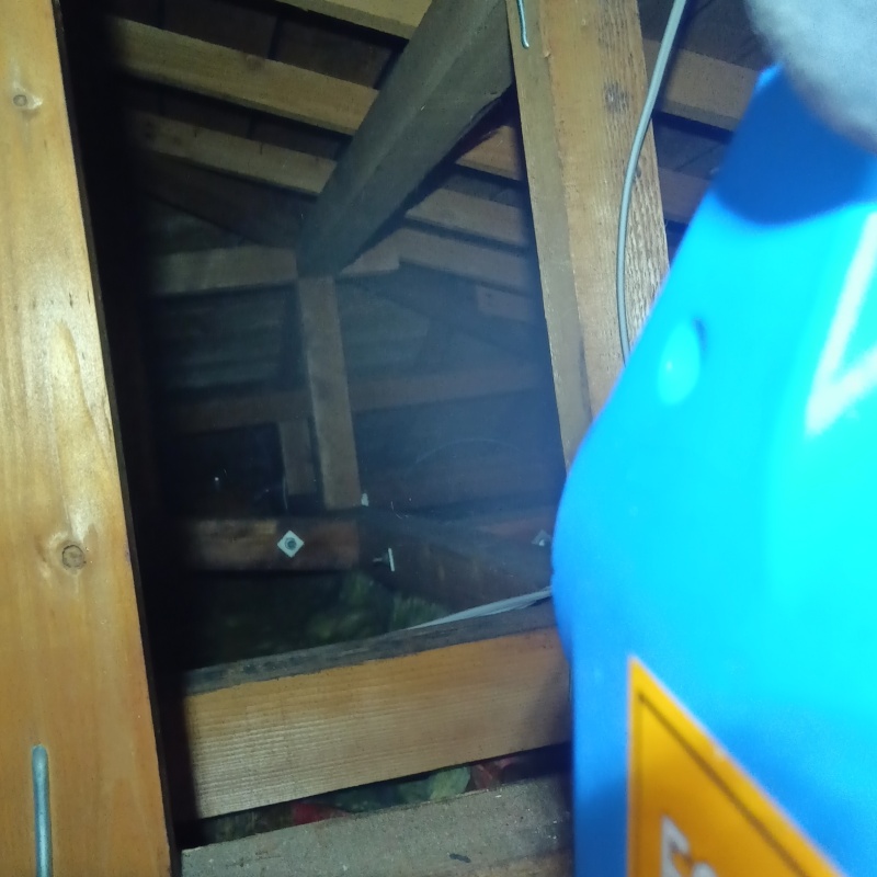 天井裏を噴霧器で除菌・消臭