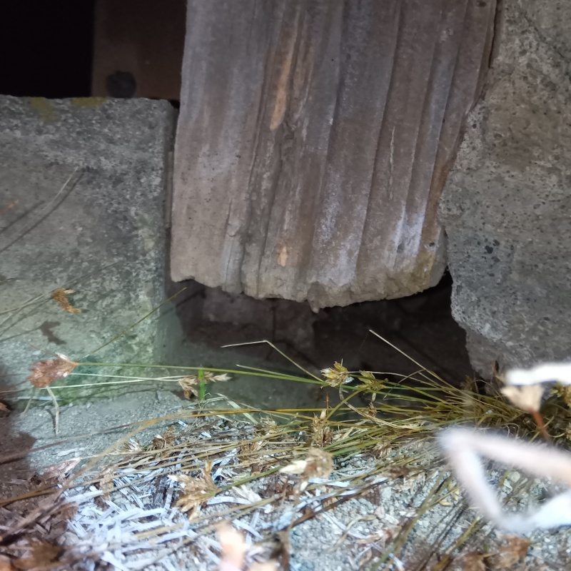 ネズミ駆除の施工事例（神奈川県茅ヶ崎市共恵）