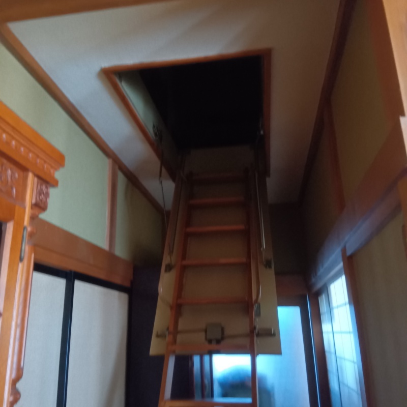 ハクビシン駆除の施工事例（山梨県北杜市白州町大坊）