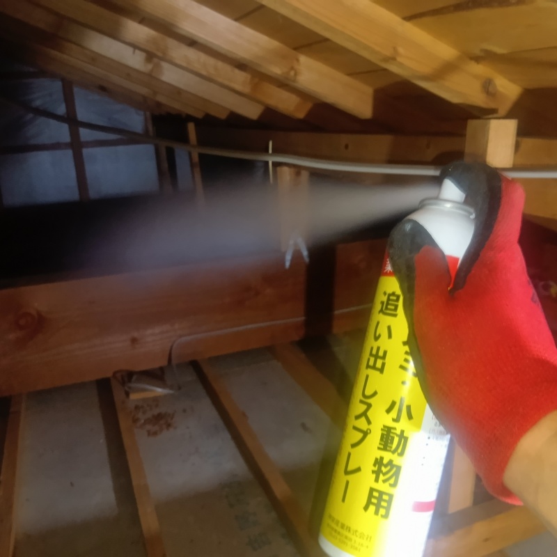 屋根裏に忌避剤をスプレー