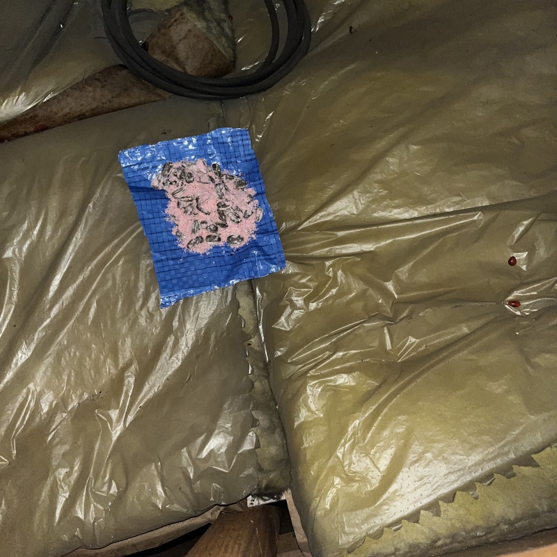 屋根裏に殺鼠剤を設置