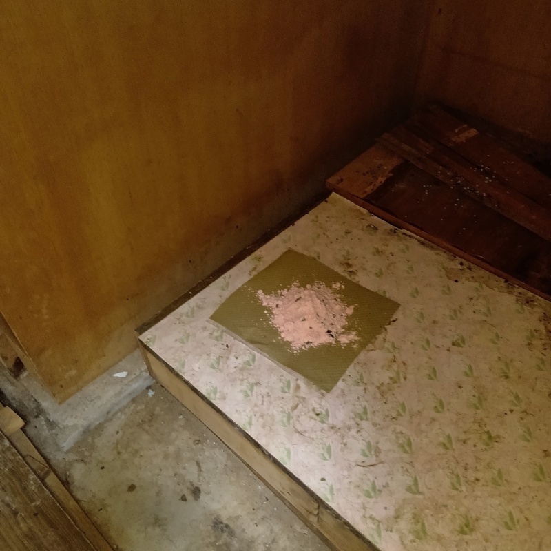 屋根裏に殺鼠剤を設置