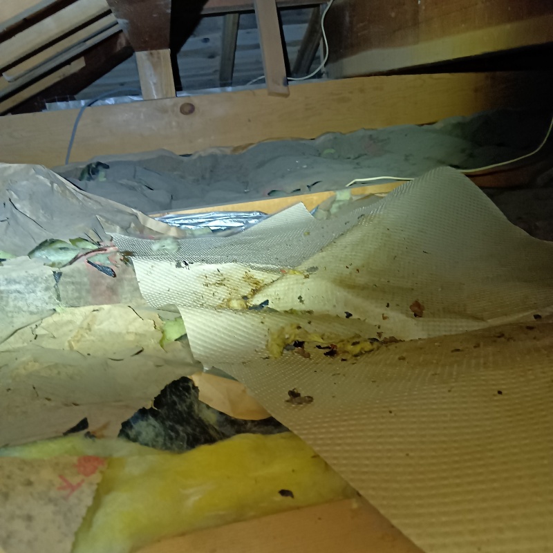 屋根裏にネズミの痕跡