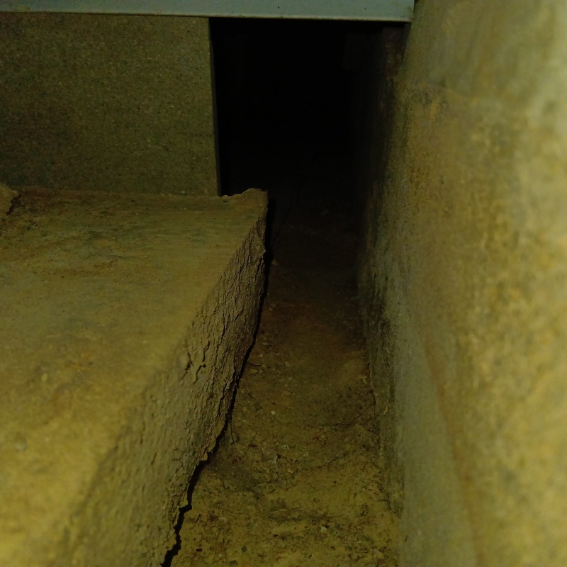 侵入経路となっている穴