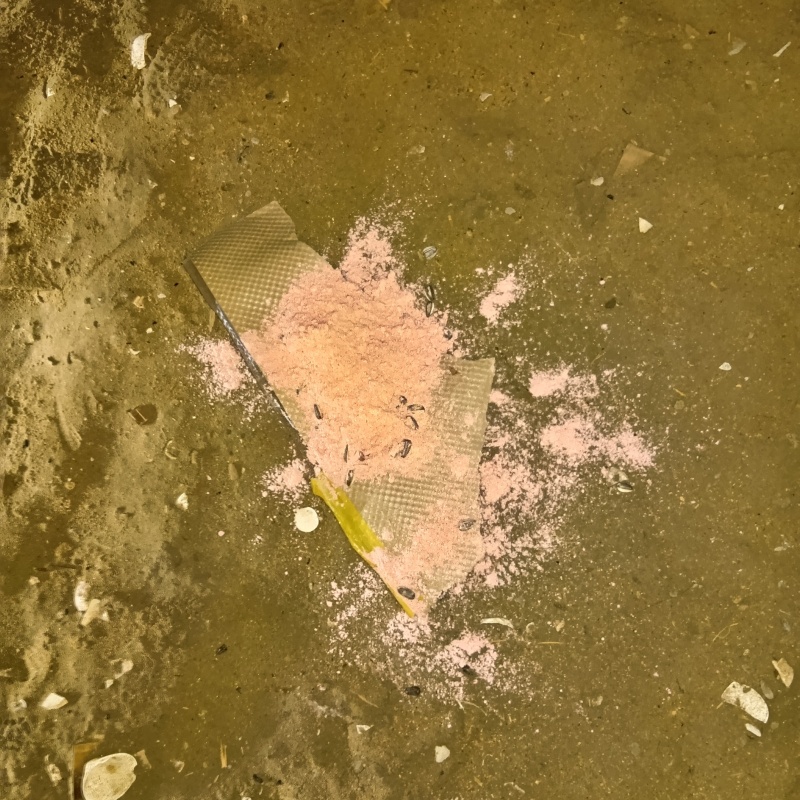 荒らされた殺鼠剤