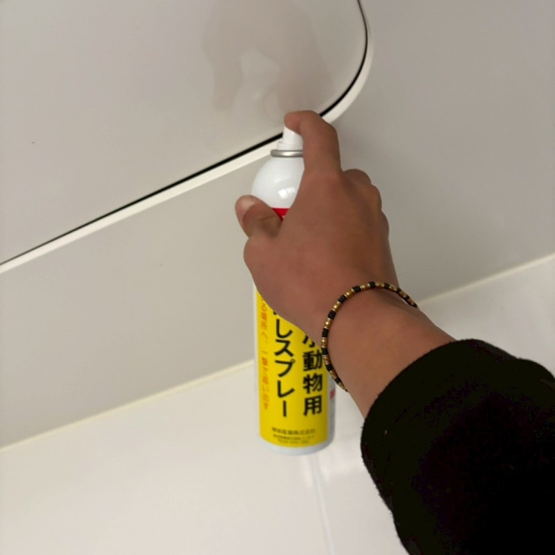 天井のすき間から忌避剤をスプレー