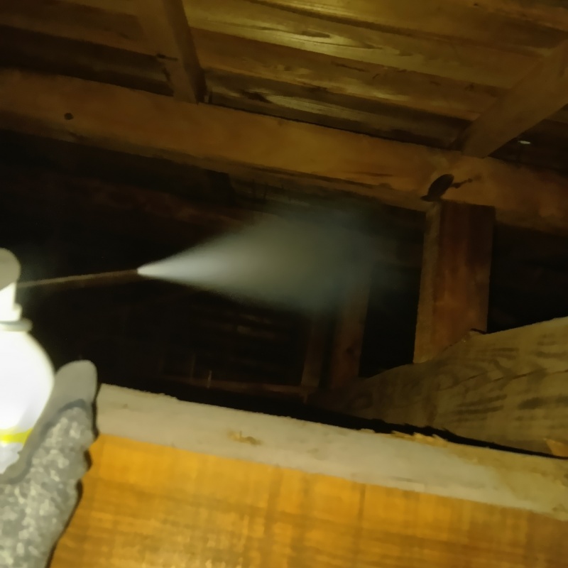 屋根裏に忌避剤をスプレー