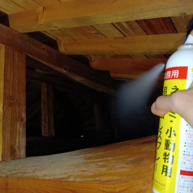 屋根裏に忌避剤をスプレー