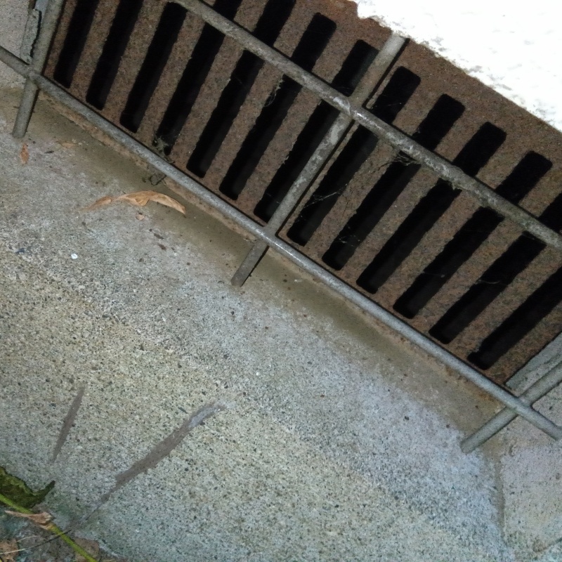 ネズミ駆除の施工事例（埼玉県所沢市宮本町）