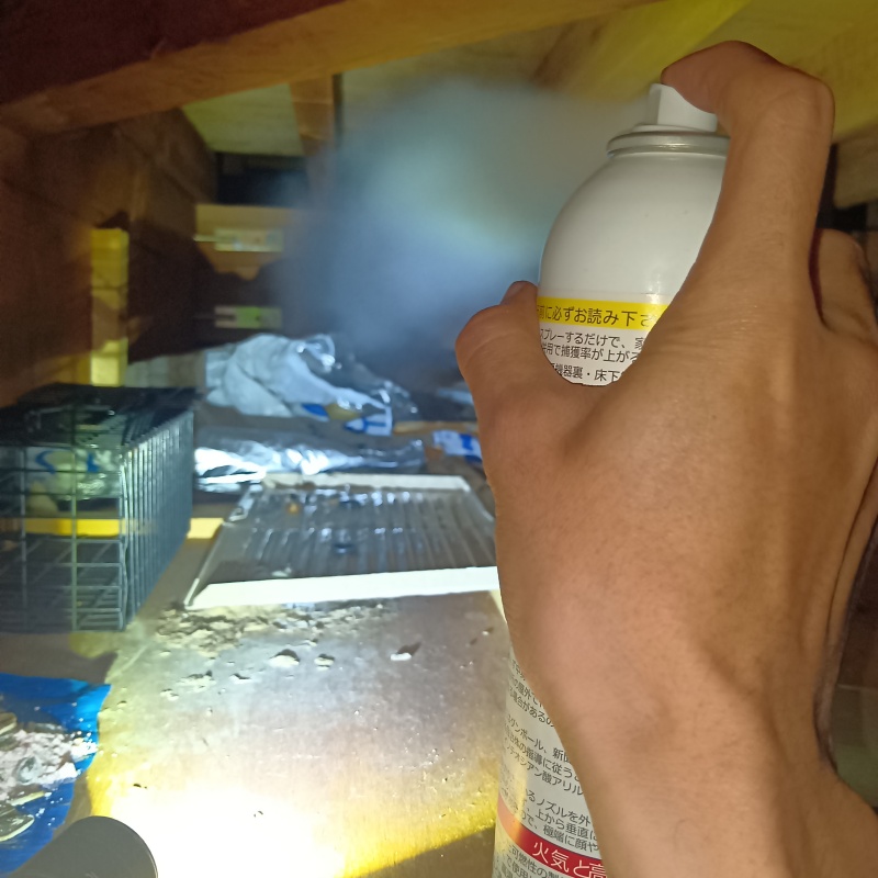屋根裏に忌避剤をスプレー