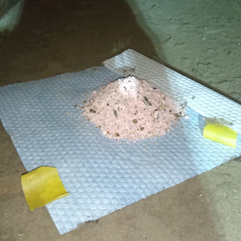 屋根裏に殺鼠剤を設置