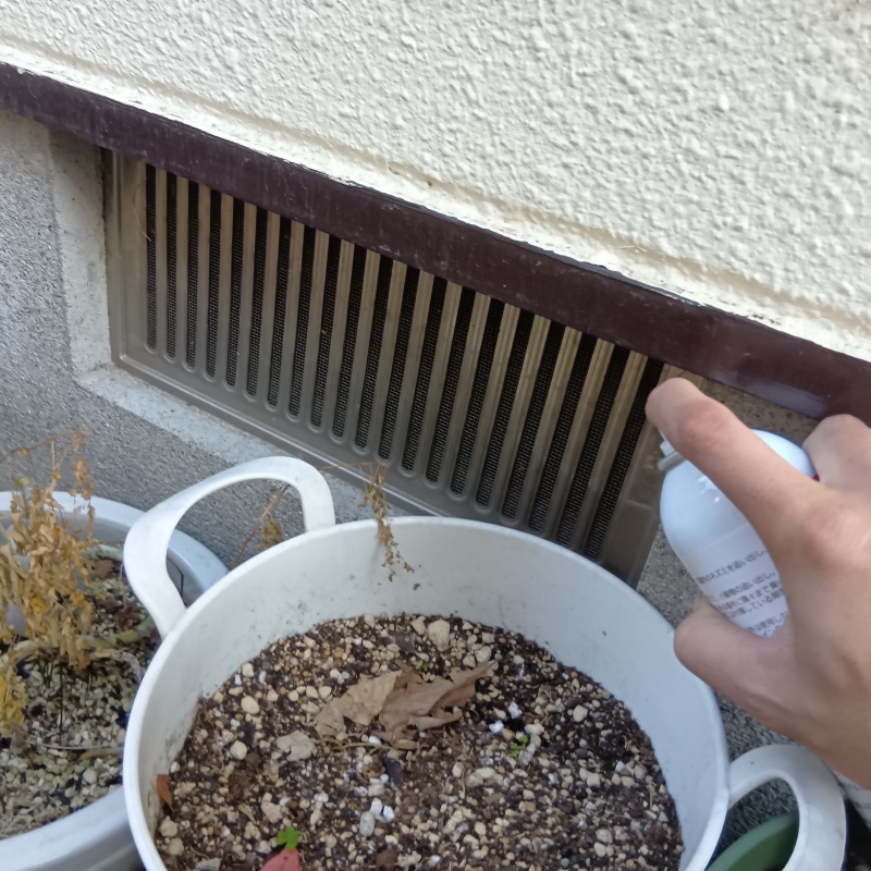 床下換気口から床下へ忌避剤をスプレー
