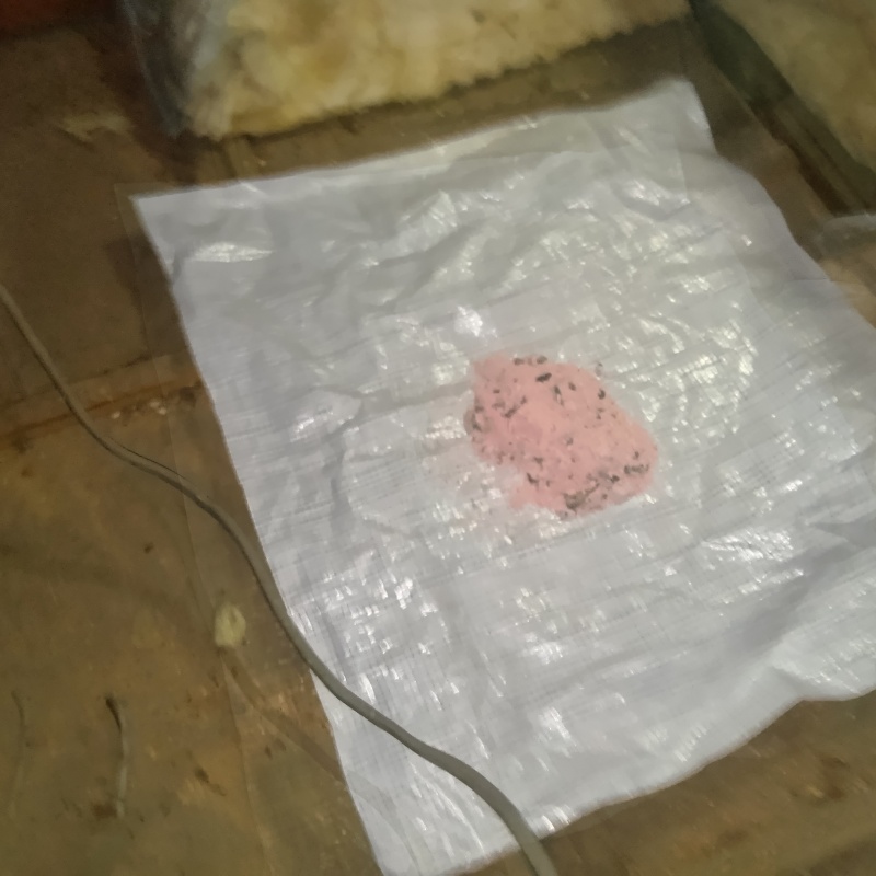 屋根裏に殺鼠剤を設置