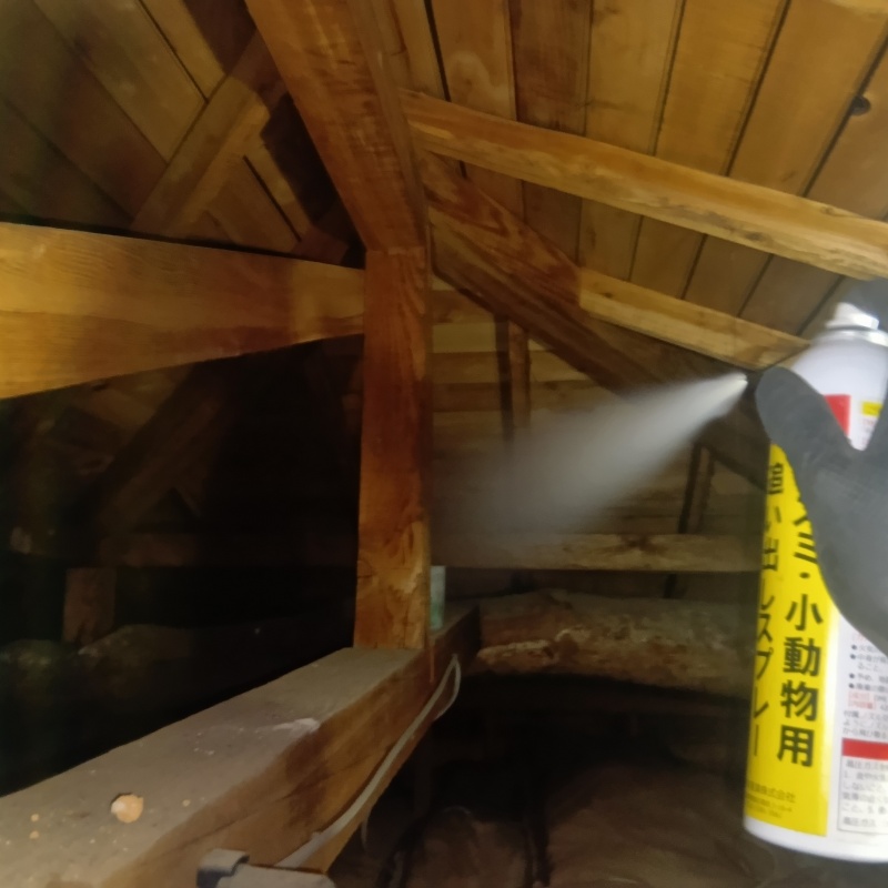 屋根裏に忌避剤をスプレー