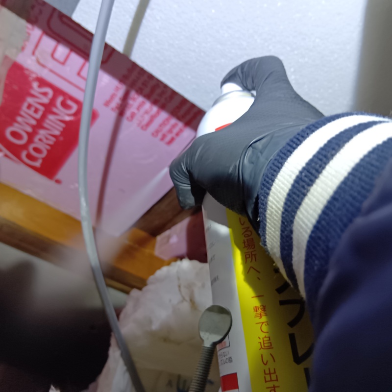 ハクビシン駆除の施工事例（茨城県つくば市下広岡）