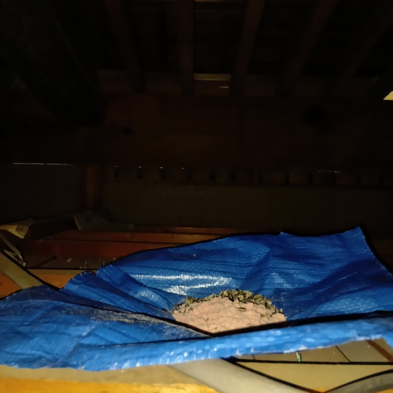 屋根裏に殺鼠剤を設置