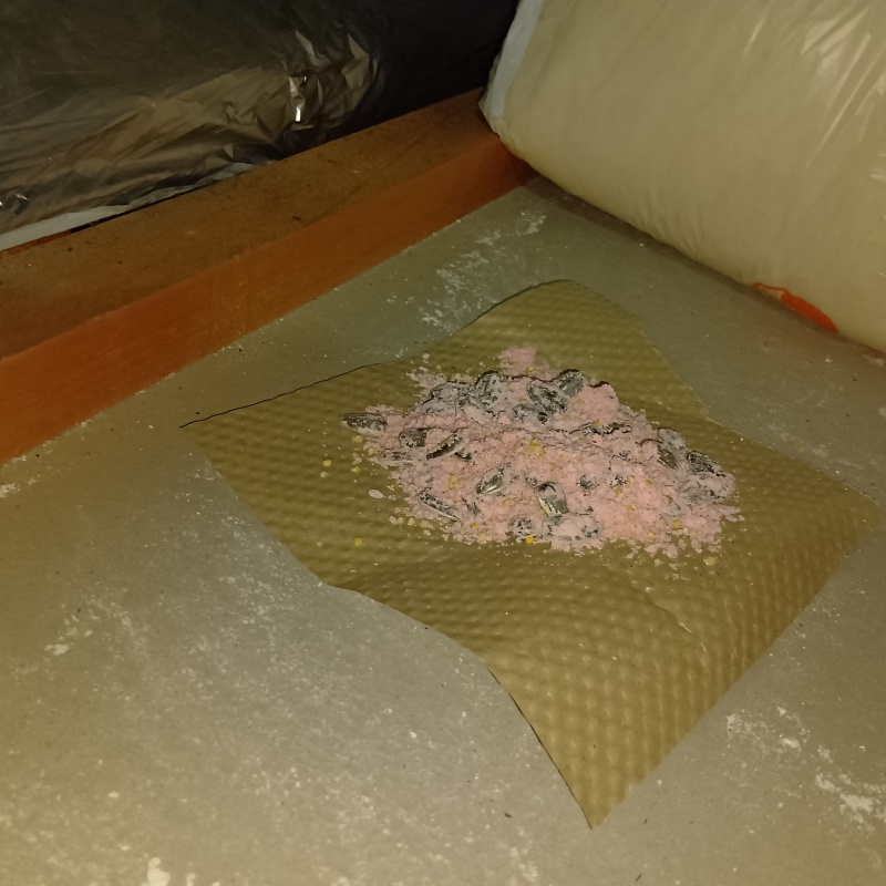 屋根裏に殺鼠剤を設置
