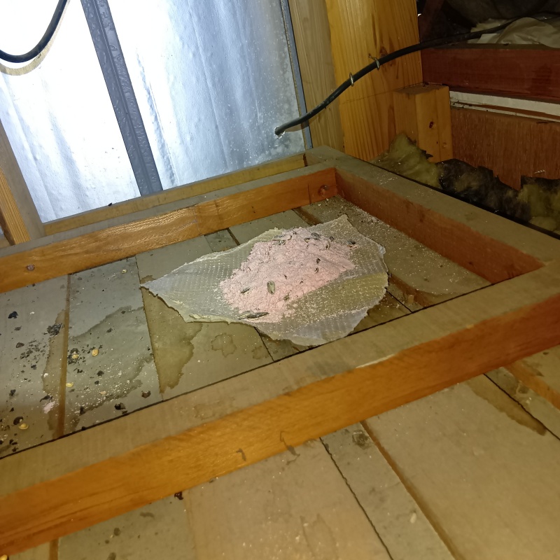 屋根裏に殺鼠剤を設置