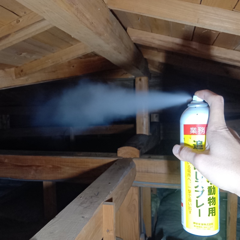 屋根裏に忌避剤をスプレー