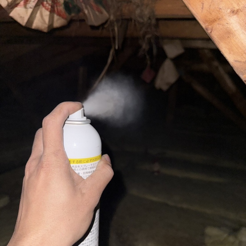屋根裏に忌避剤をスプレー