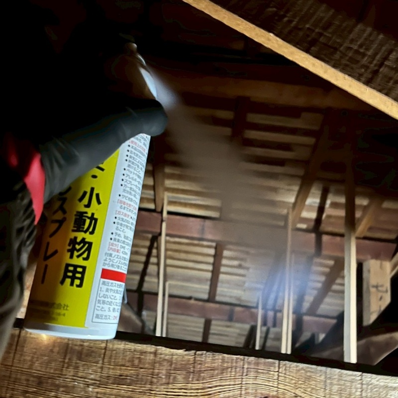 屋根裏に忌避剤をスプレー