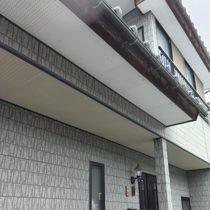 ハクビシン駆除の施工事例（福井県南条郡南越前町東大道）