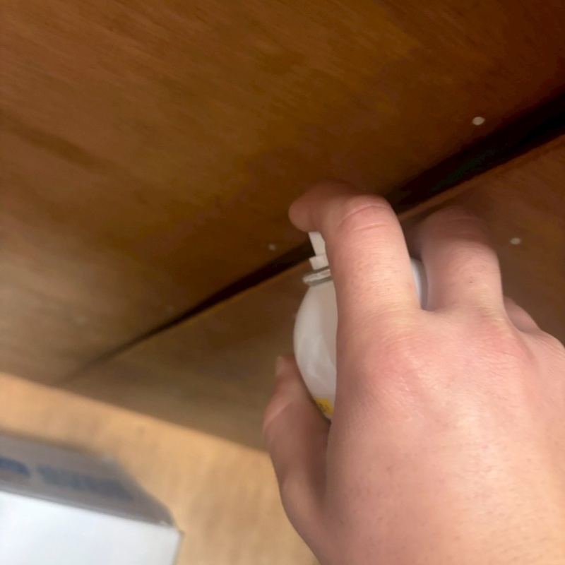 天井のすき間から忌避剤をスプレー