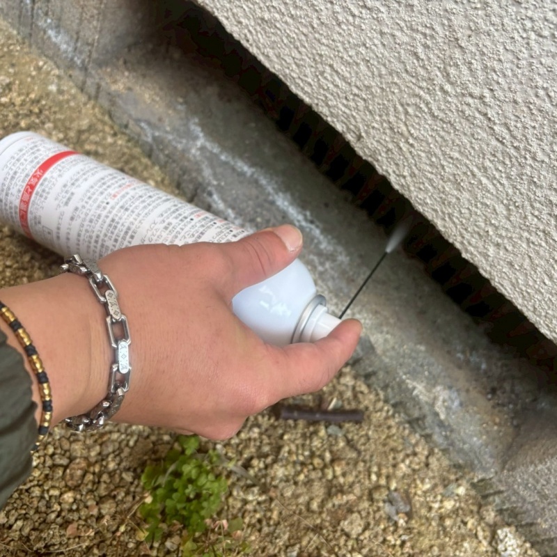 床下換気口から忌避剤をスプレー