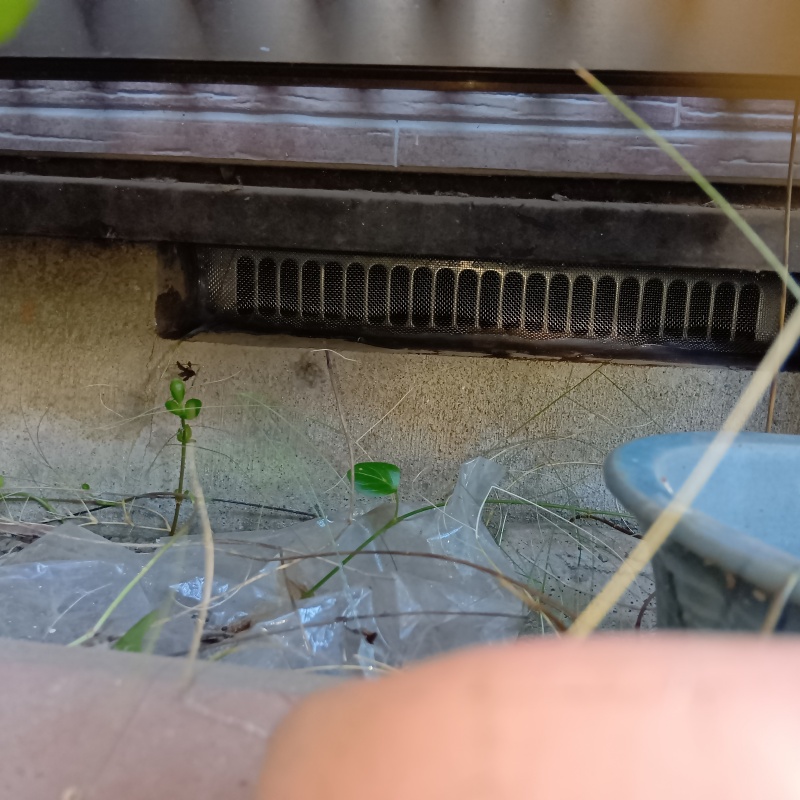 床下換気口をネットとパテで封鎖