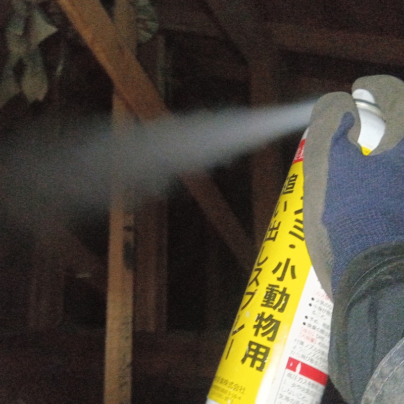 ネズミ駆除の施工事例（東京都小平市浜小金井）