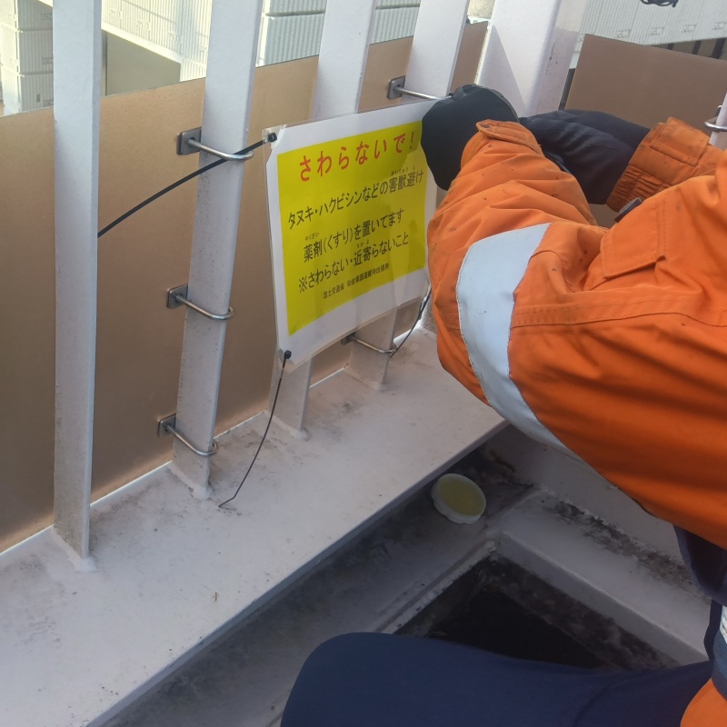 イタチ駆除の施工事例（宮城県塩竈市）