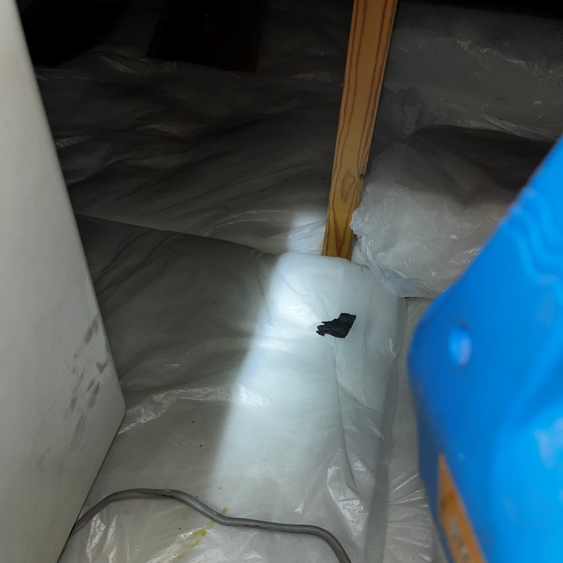 噴霧器で殺虫剤を散布