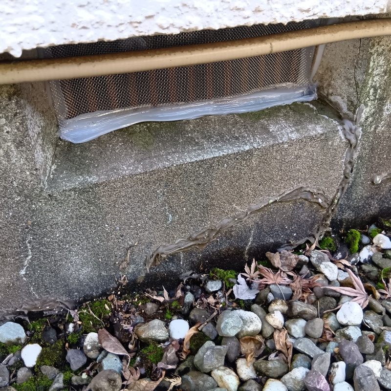 床下換気口をネットとパテで封鎖